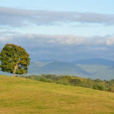 Wednesday’s Weekend Outlook for the Lexington/Buena Vista/Rockbridge area of Virginia.