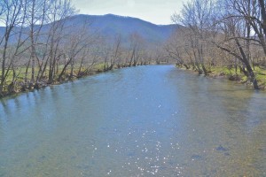 Cowpasture River Farm