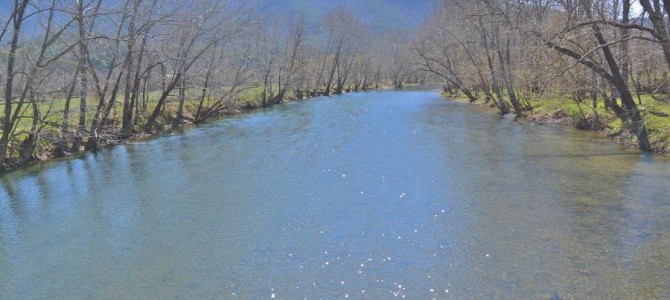 Real Estate Feature – The Cowpasture River Farm Real Estate Feature – The Cowpasture River Farm